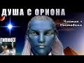 Душа с Ориона. Диагностика + чистка + наставник Ответы на вопросы. Сеанс Гипноза через Слиппера