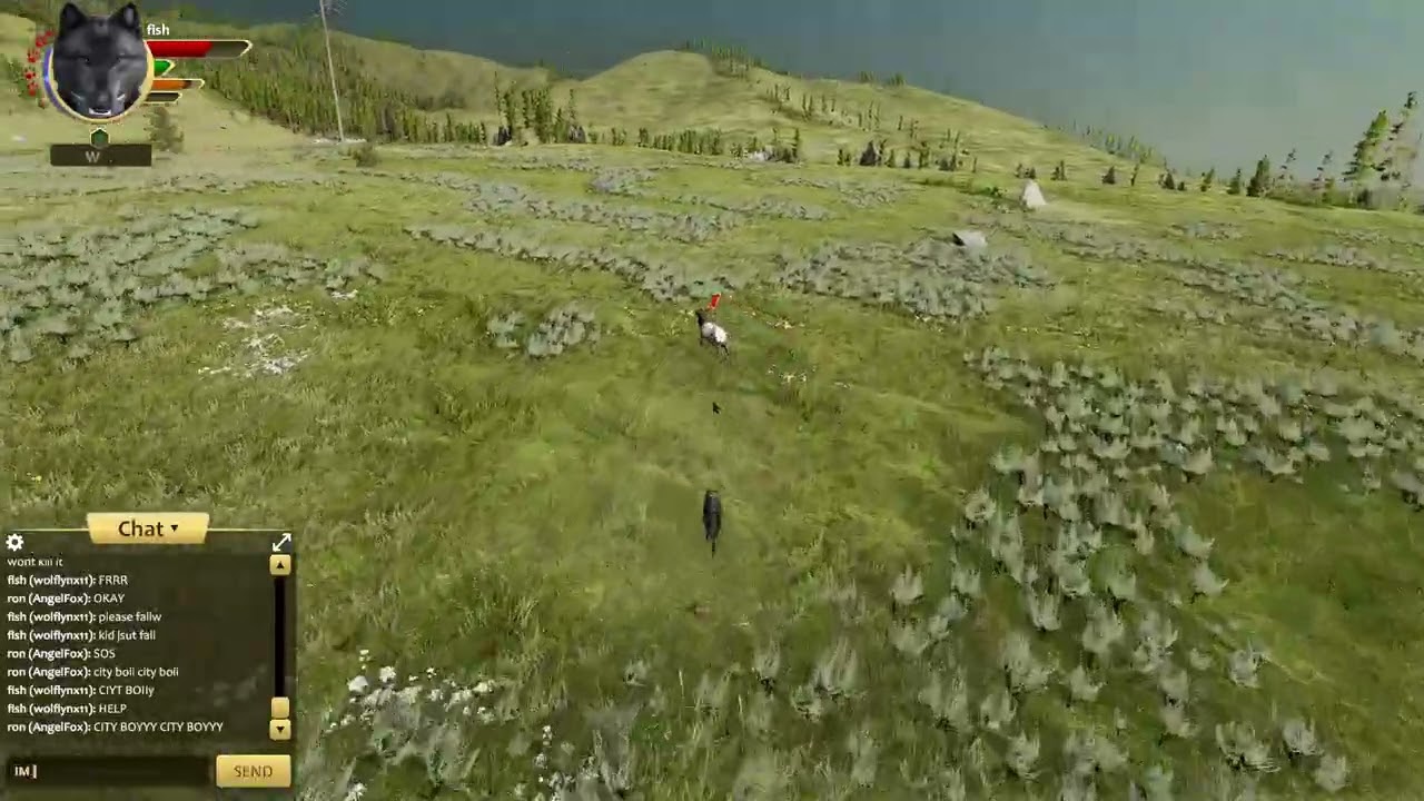 coyote, you should look both ways next time