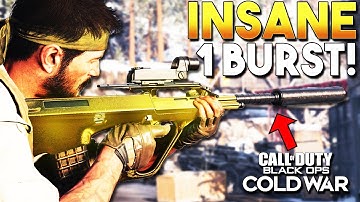 Best AUG Class Setup & Attachments! | Cold War AUG Best Class (Black Ops Cold War Aug Class)