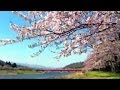 Miniature de la vidéo de la chanson Japanese Spring