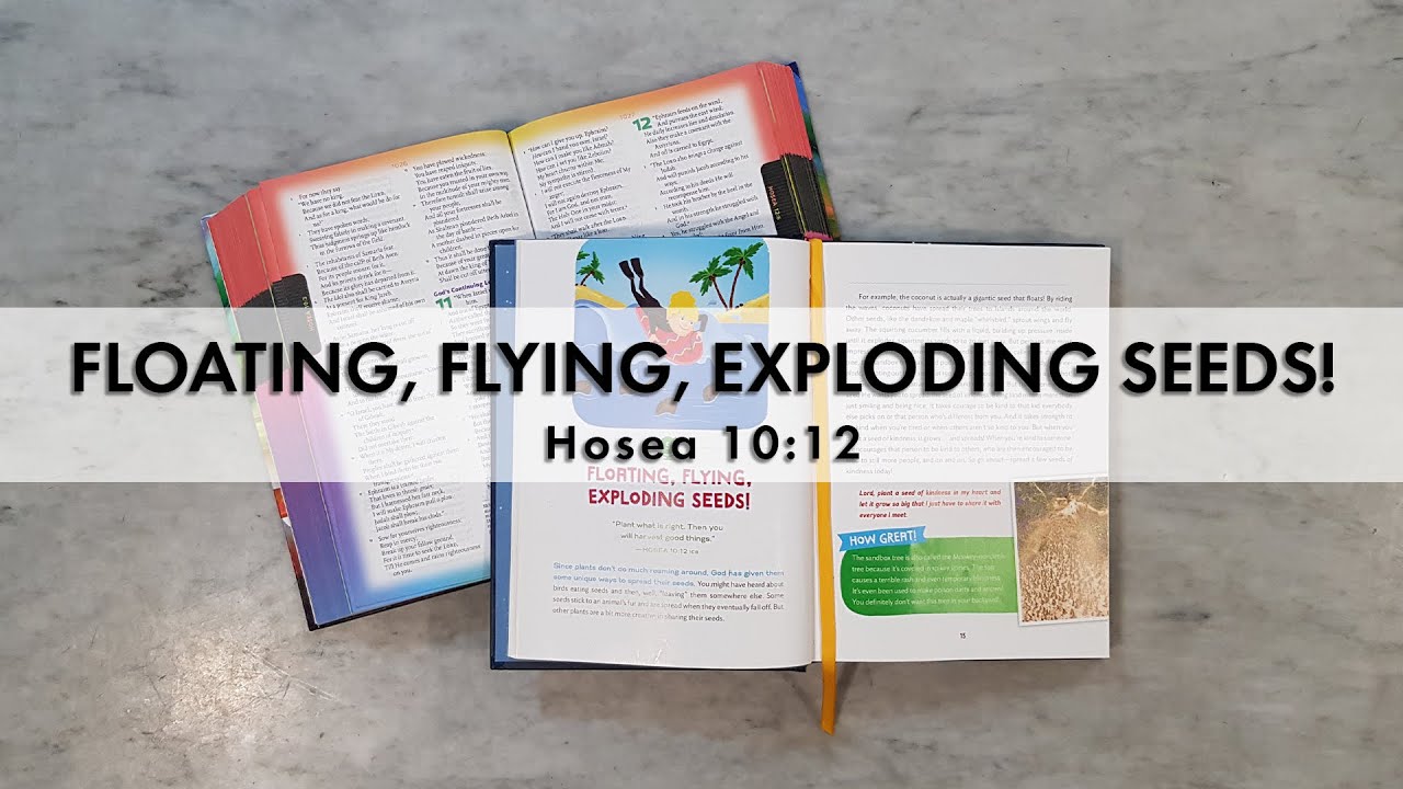 Exploding Seeds Fll Story Time | Floating, Flying, Exploding Seeds! - YouTube