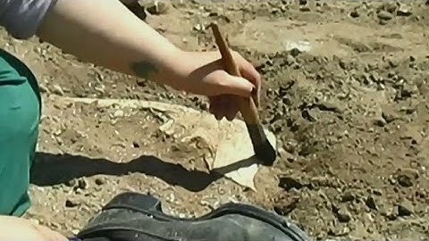 Drones and digging: New tech to help archaeologists in Egypt