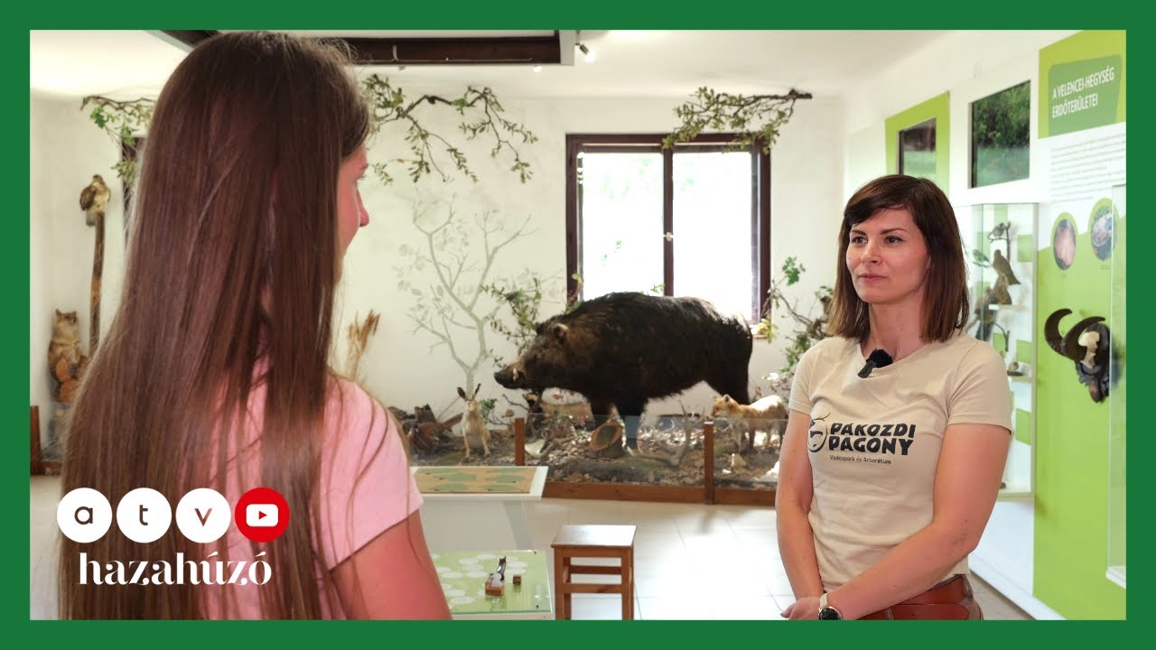 HAZAHÚZÓ – Aktív programok a Velencei-tónál