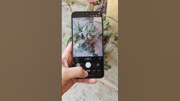 Samsung Galaxy A26 5g Camera Test 🔥📸 #samsunga26 #cameratest #samsung