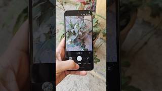 Samsung Galaxy A26 5g Camera Test 🔥📸 #samsunga26 #cameratest #samsung screenshot 4