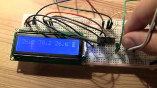 MSP430 and three MCP9700 sensors
