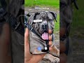 0621 Lens Photo iOS V2 Dog older voice Motion Design 45s ENG Video 1080x1920