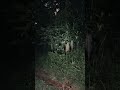 disini rumah pesugihan tali pocong ‼️ #horror