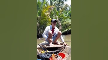 mồi tép cau cá ngát siêu nhạy.. cậu cá ngát