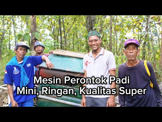 Panen Padi Dengan Menggunakan Alat Mesin Penggiling Perontok Padi Manual class=