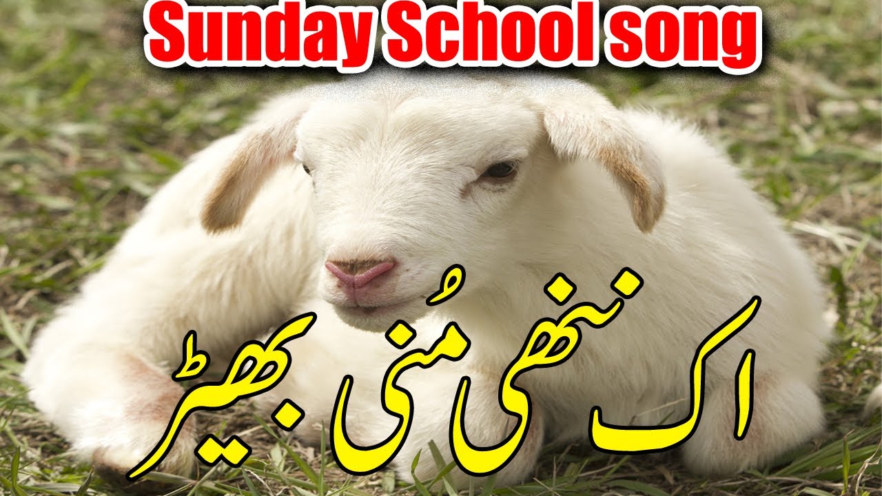 Ek Nanni Muni bher  Urdu Sunday School Songs  Masih song for kids