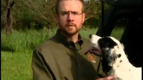 CanadaPets Video Series - Wound Care for Your Hunting Dog