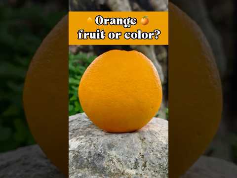 Orange: did the fruit or color come first? #language #history #oranges #learning #todayilearned