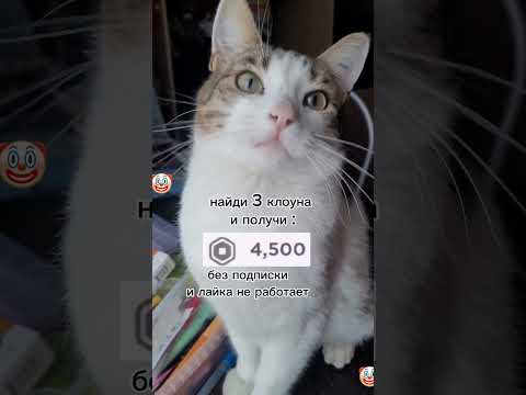 27 января 2024