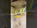 #for your page video location sukkur