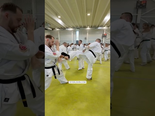 Baltic Fighting Camp 2026 #kyokushin #shinkyokushin #karate #1kyokushin #一極真 #極真会館