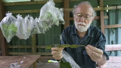 BIOSCAN: tracking biodiversity on Earth