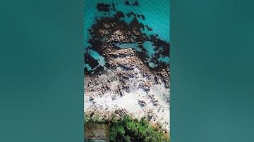 سورة العاديات        ( القارئ وديع اليمنى ) -(Wadee Al Yemeni) Al-Adiyat  Surah