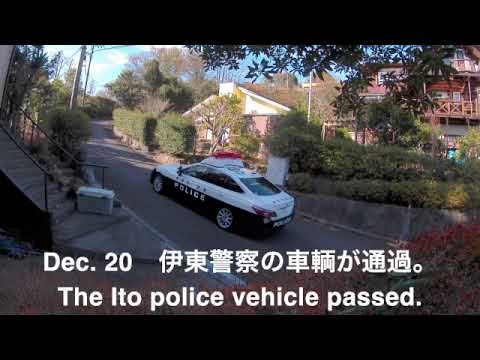 2023_1220　別荘地内を徘徊する人たち