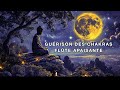  flte apaisante pour gurir les chakras chakra chakras chakrahealing