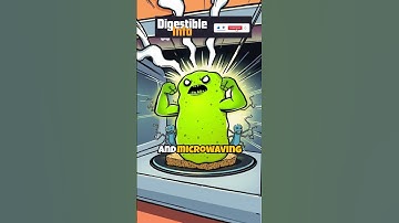 Is Your Kitchen Sponge Dirtier Than a Toilet Seat? Shocking Facts About Bacteria!