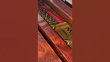 2018 Bubinga M 