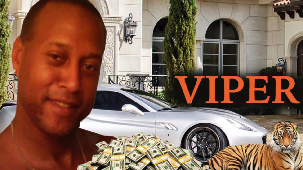 Guarda Viper - Shinin su YouTube Guarda Viper - Shinin su YouTube