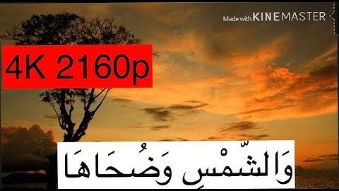 سورة الشمس قارئ بيشةوا قادر الكردي