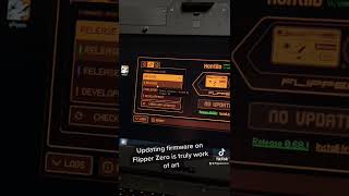The Process Of Updating Firmware On Flipper Zero Looks Like A Truly Work Of Art