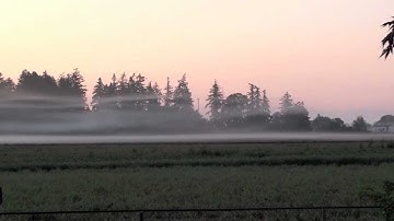 Striated Surface Layers in Very Stable Conditions