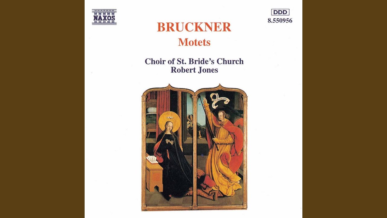 Ecce sacerdos magnus, , WAB 13