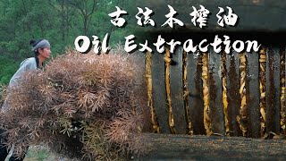 Ancient Method of Oil Extraction: The Whole Process of Making Edible Oil in Ancient Times