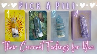 How They’re Currently Feeling About You😍💕| PICK A PILE🔮 In-Depth Timeless Love Tarot Reading✨