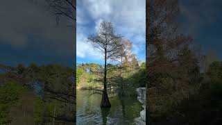 Nature calling #shortvlogs #shortfeeds #spaintravel #madrid #roamingbird #indiangirl #travel