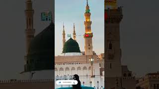 imam mahdi  viral jaan status islam pakistan love palestine whatsappstatus shortvideo