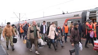 В Ярославль прибыло почти 400 жителей из обстреливаемой Белгородской области