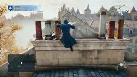 Assassins Creed Unity ( upon a roof )