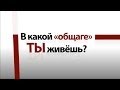 В какой «общаге» ты живешь? Трейлер (New Version)