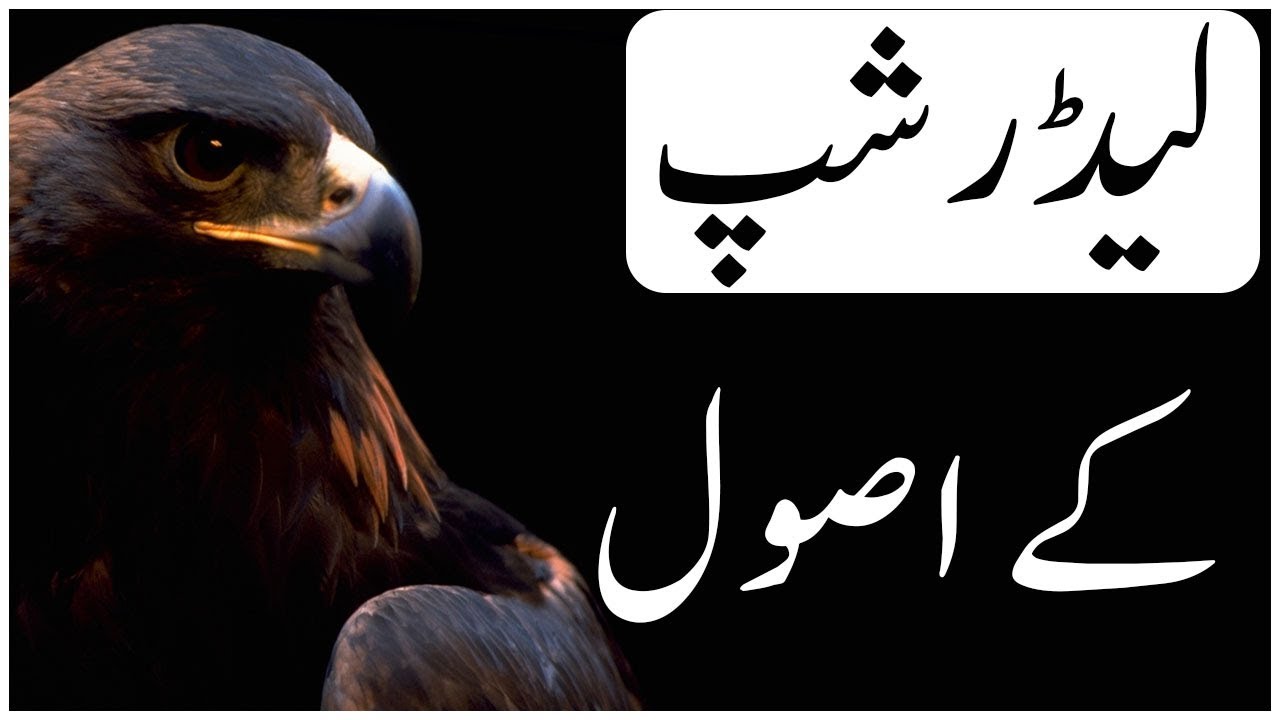 SIX LEADERSHIP PRINCIPLES TO LEARN FROM AN EAGLE. 🦅 BY LIAQAT EAGLE