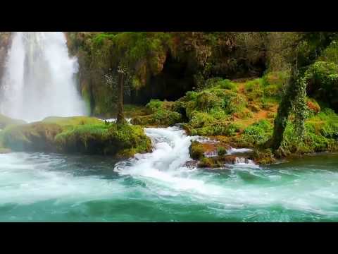 Video: Birgalikda Hayot Manzaralari