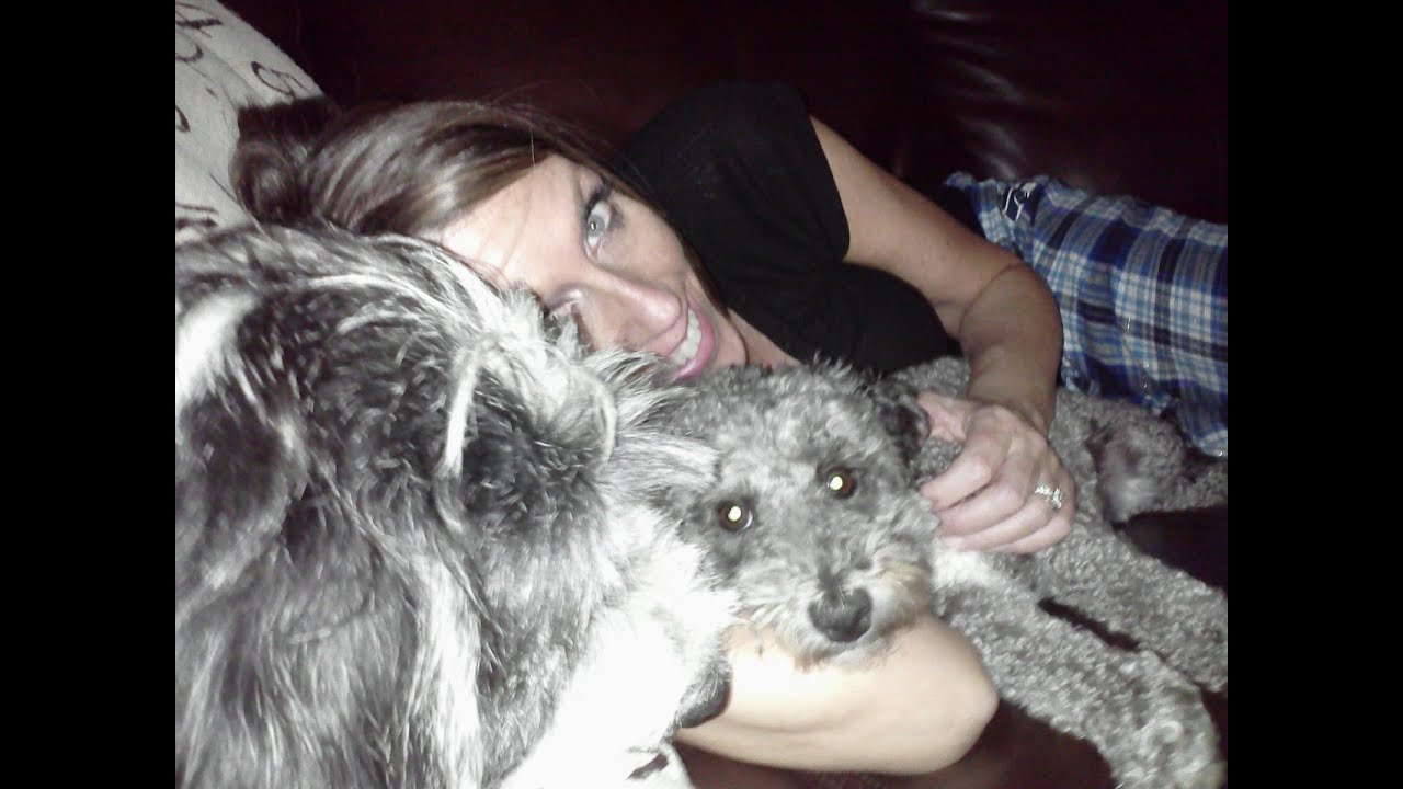 A Dog's Life 41315 Wife kissing Dog YouTube