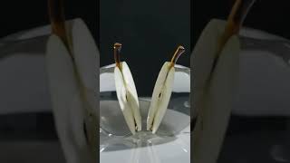 Slicing a Glass Apple 🍏 | Satisfying ASMR Loop