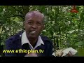 Dereje haile   mela ateche ethiopian musical comedy