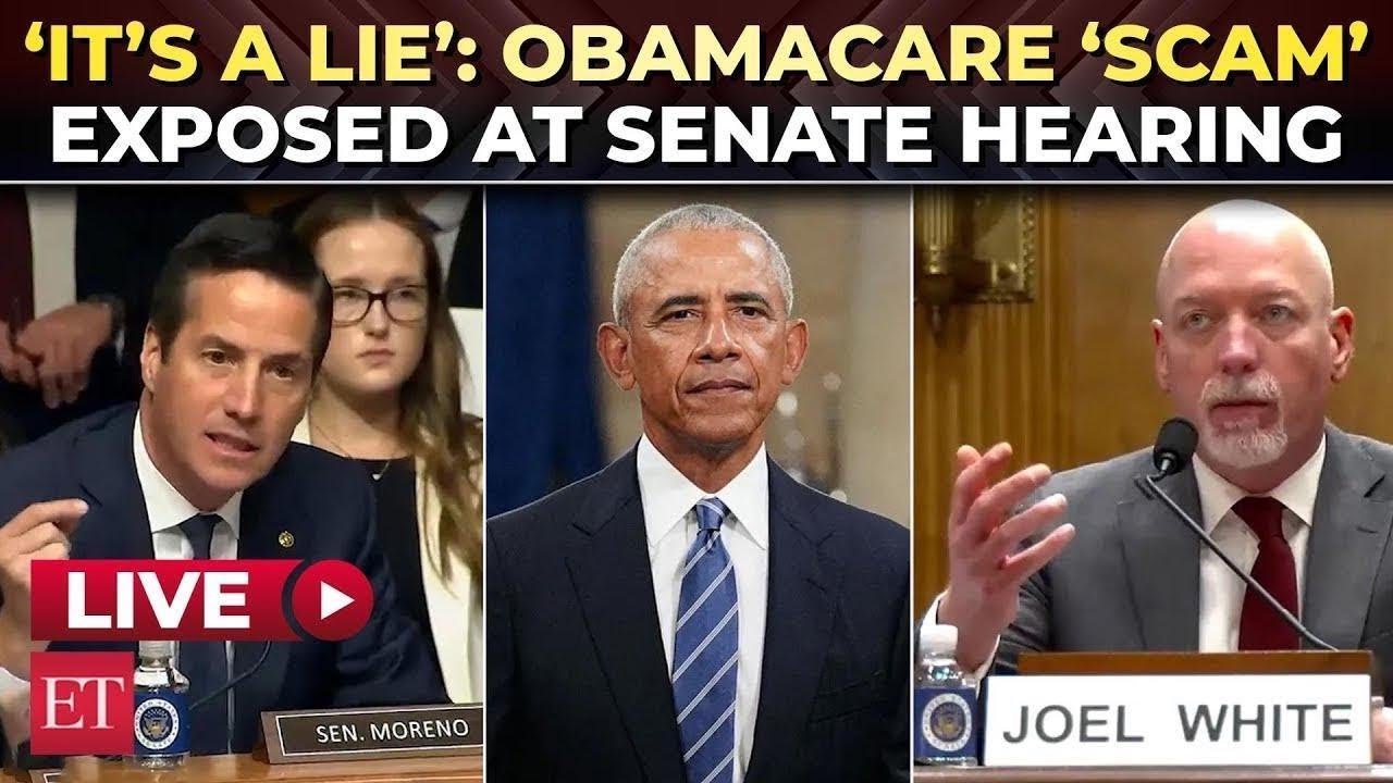 ‘If Obamacare is so great, why aren't YOU all on it?’: ACA 'scam' exposed at fiery senate hearing