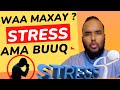 Waa Maxay Istarays Ama Buuq Stress Iska Dawee Wel Welka Ama Murugada Channelkasuldaanka6312 Waa Maxay Istarays Ama Buuq Stress Iska Dawee Wel Welka Ama Murugada Channelkasuldaanka6312
