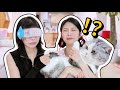 闻脚猜猫游戏，小猫咪的脚怎么这么上头！？｜花花与三猫 Cat Live thumbnail