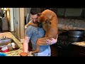 Cute dog cant stop hugging their human  cute animal show love