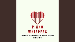 Soft Bark with Piano Echoes