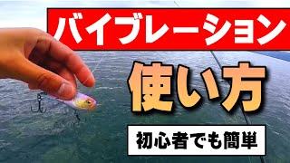 【初心者でも簡単】バイブレーションの使い方を解説！【バス釣り】