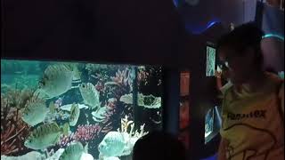 VID 20260802 WA0052